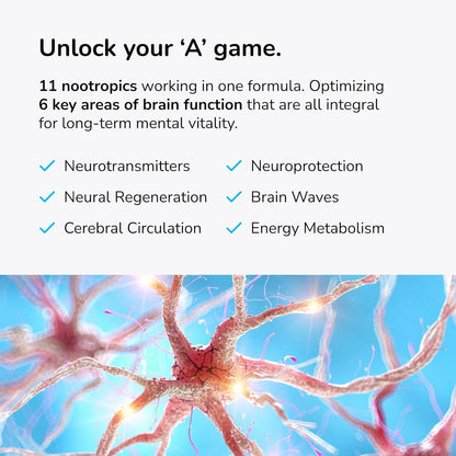 Mind Lab Pro® MLP® v4 Universal Nootropic™ Brain Booster Supplement for Focus, Memory, Clarity, Energy - 60-Count - Plant-Based, Naturally Sourced Memory Vitamins for Better Brain Health